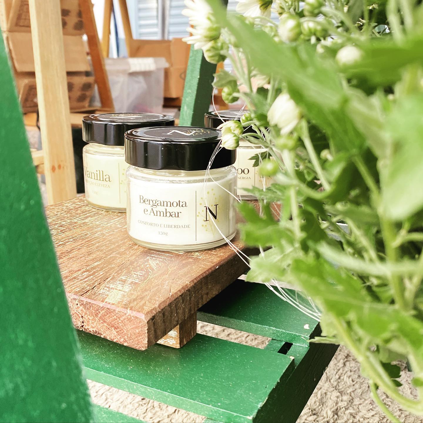 Vela Aromática 100% Vegetal 150gr – Sustentável