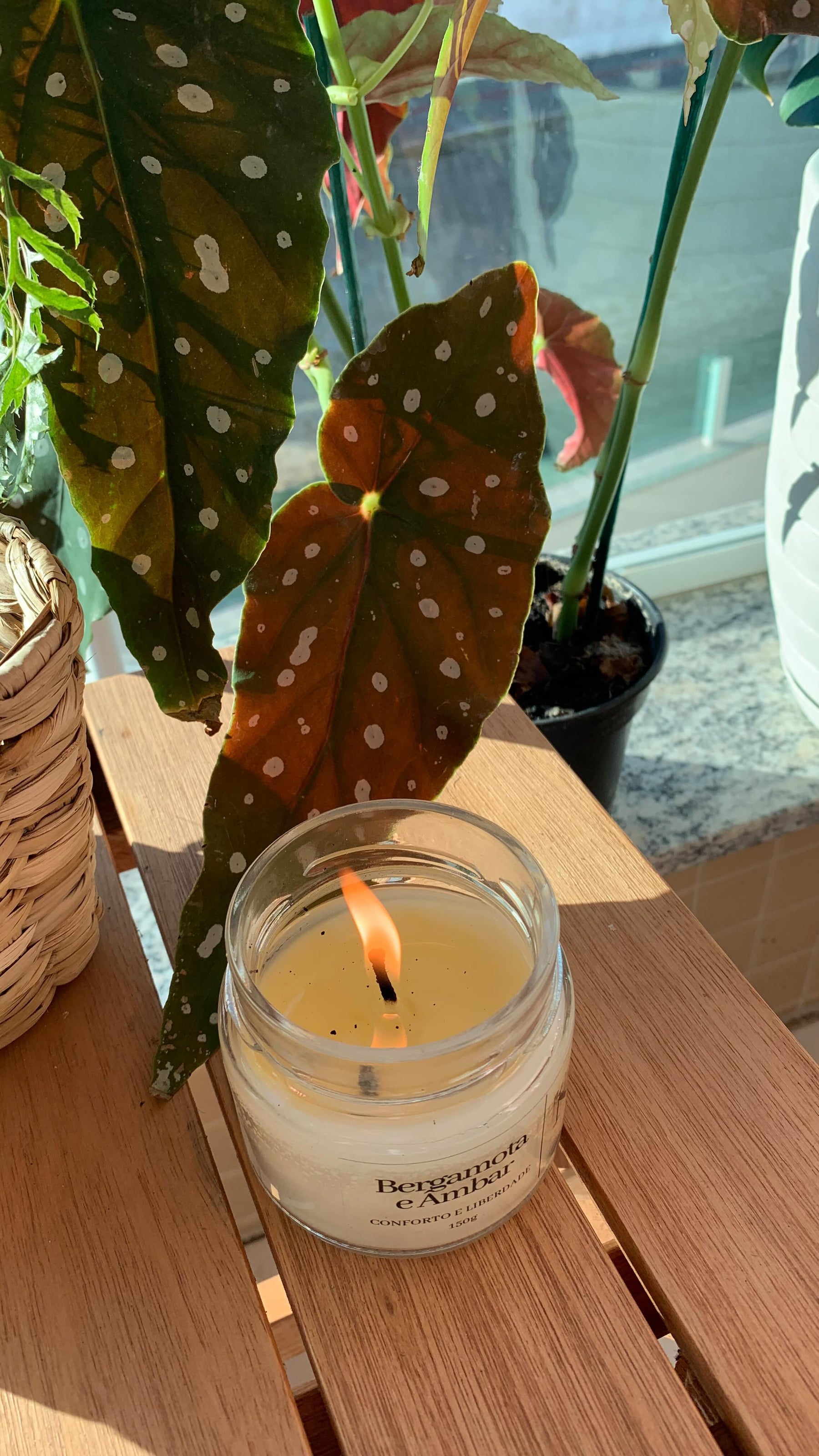 Vela Aromática 100% Vegetal 150gr – Sustentável